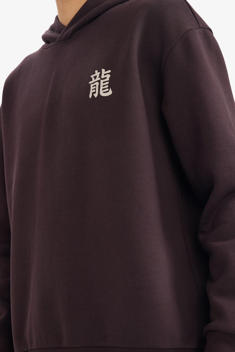 DeFacto Brown Man Boxy Fit Printed Long Sleeve Hoodie Casual - Image 5